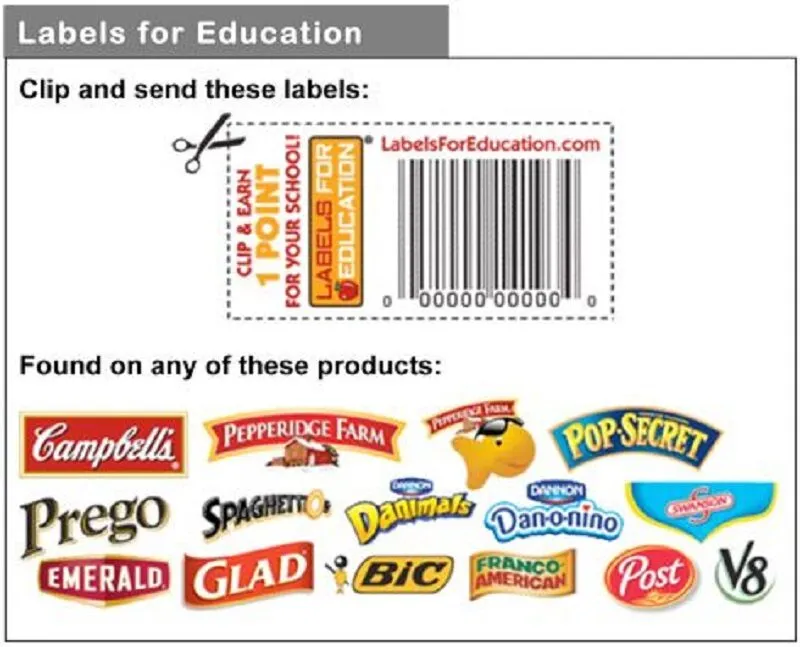 Impact of the Program on Education